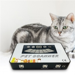 JYTOP 2019 Newest JYTOP PET Quantum Resonance Magnetic Body Health Therapy Analyzer for Animal